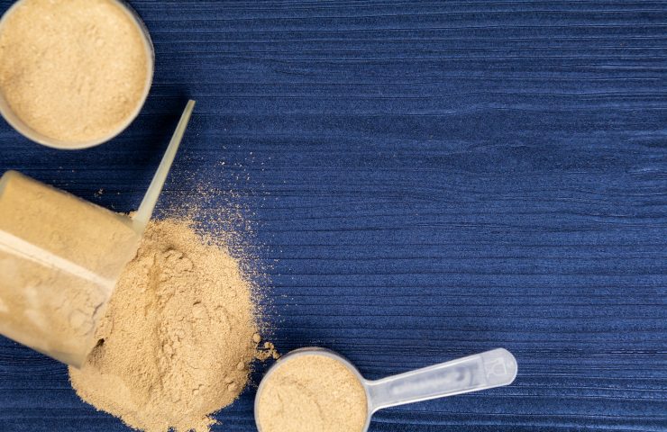Scoops filled with protein powders on background blue wood