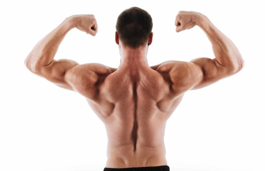 Photo of athletic young man showing his back and biceps muscles