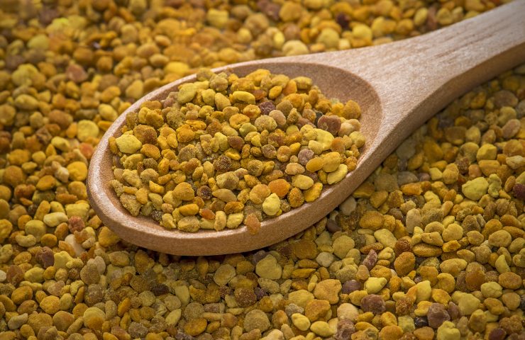 Bee pollen