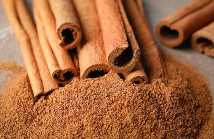 Cinnamon sticks and powder on grey background, closeup