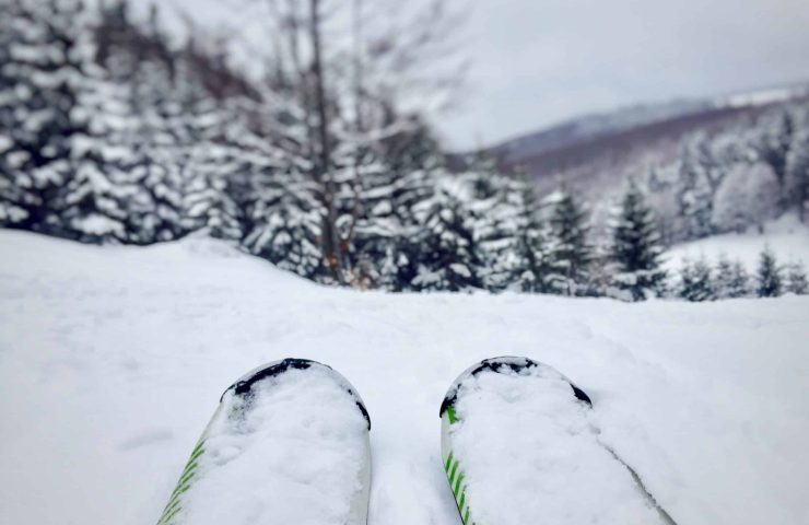 close-up-of-skis-with-snowy-evergreen-forest-ahead-2022-11-15-13-05-28-utc