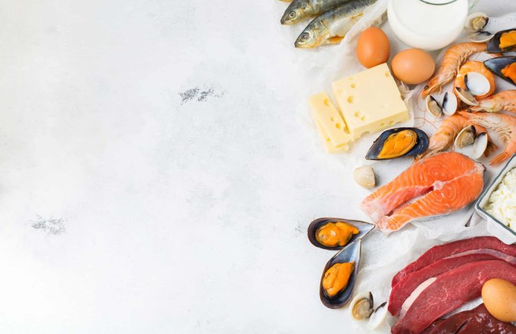 Assortment of healthy vitamin B12, cobalamin source food