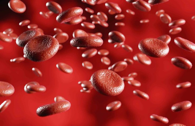 blood cells Moving flow, Hemoglobin Cells in vein, 3D rendering