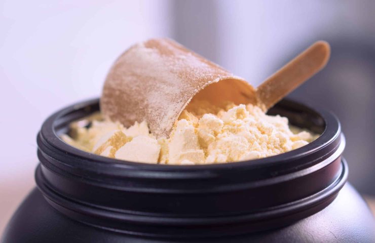 Container of protein powder