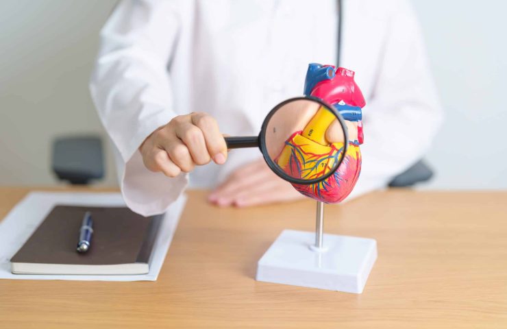 Doctor with human Heart anatomy model and magnifying glass. Card