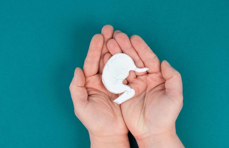 Holding a stomach in the hand, inflammation digestive system, gastrointestinal health issues