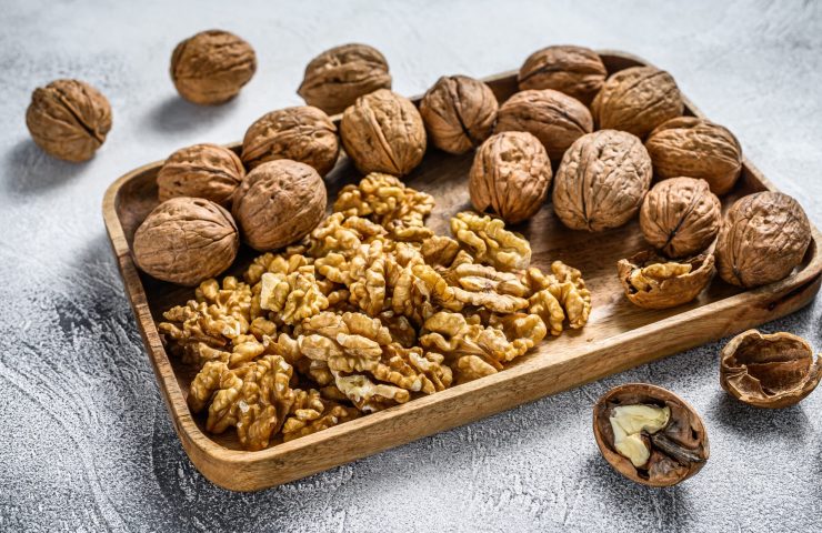 Walnuts in a wooden plate and walnut kernels. Gray background. T