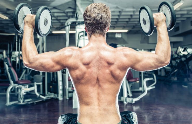 bodybuilder making workout training. lifting the wheigts. concept about gym, sport and people