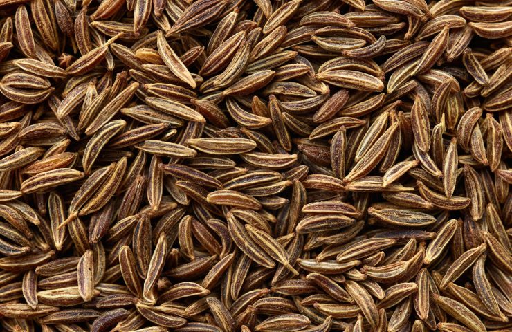cumin seeds background macro