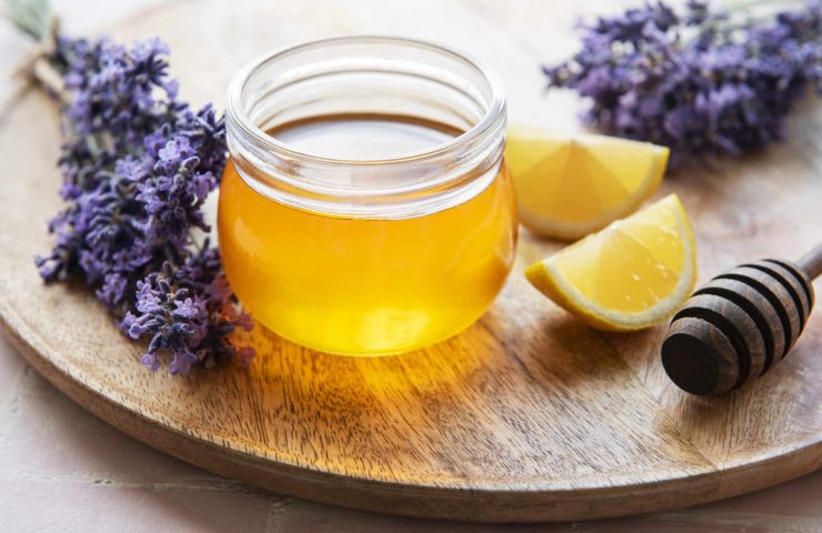 Jar with honey and fresh lavender flowers