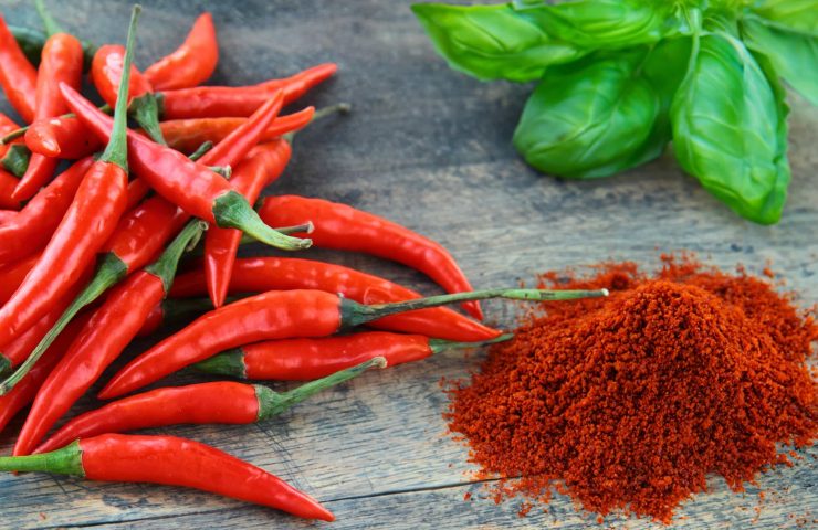 hot red fresh organic chili pepper