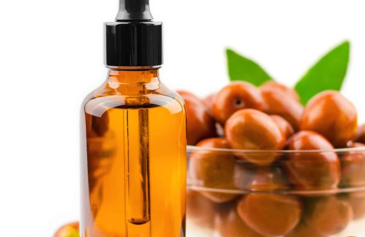 Jojoba oil bottle. Jojoba oil and fresh jojoba fruit on wooden table