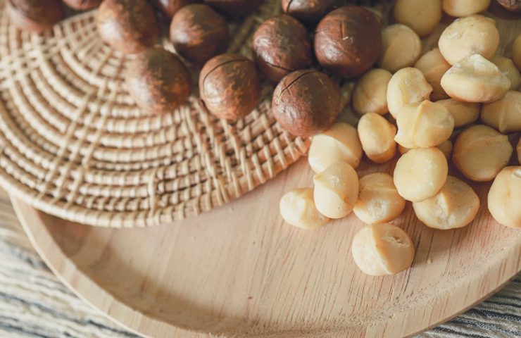 Organic Macadamia nut. macadamia nuts are cracked and baked to t