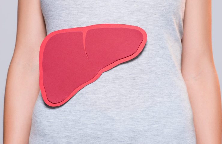 partial view of woman with paper made human liver on grey background