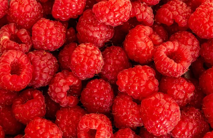 Ripe raspberries. Berries.Scarlet. Raspberry background. Raspber