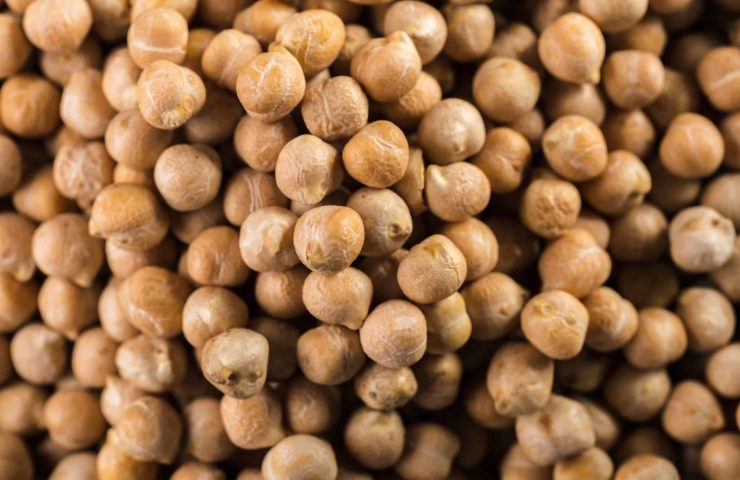 soybean on wooden table