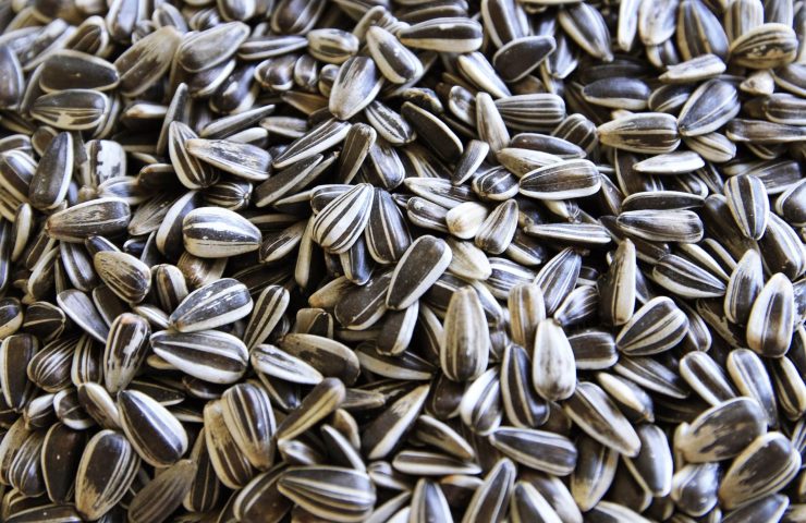 Processed with MOLDIV