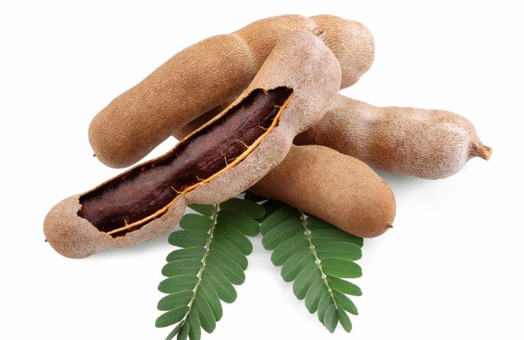 Tamarind isolated on the white background