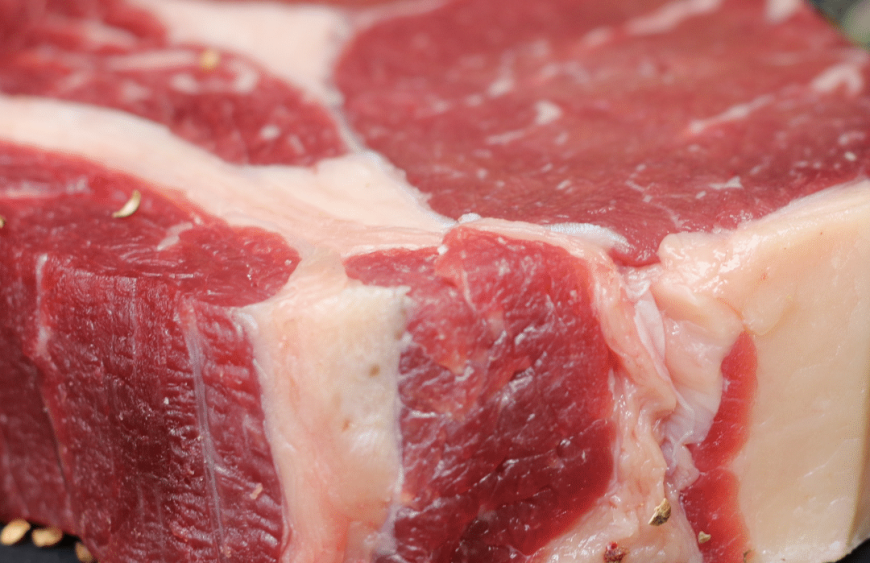 ation – 2024-01-22T180312.391